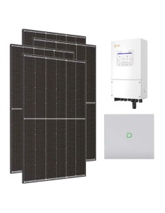 Monofase: vendita all'ingrosso Kit fotovoltaico monofase 6370W inverter 6kW Solis accumulo litio 10.24kWh Dyness Powerbox G2