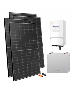 Monofase: vendita all'ingrosso Kit fotovoltaico monofase 6300W inverter 6kW Solis accumulo litio 10.24kWh Dyness DL5.0C