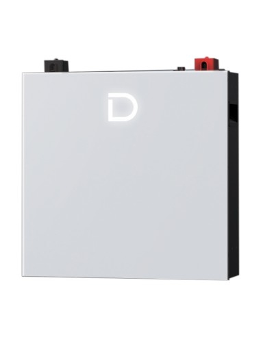 Dyness: vendita all'ingrosso Batteria al litio DL5.0C Pro Dyness 5.12kWh