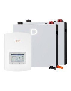 Sistema di accumulo monofase inverter 4.6kW Solis batteria al litio 10.24kWh Dyness DL5.0C PRO