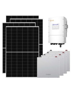 Kit fotovoltaico trifase 15470W inverter 15kW Solis LV batteria al litio 20.48kWh Dyness DL5.0C