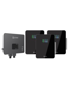 Renon Power: vendita all'ingrosso Sistema di accumulo monofase inverter 6kW IFL06 Renon Power batteria al litio Xcellent 15.3...