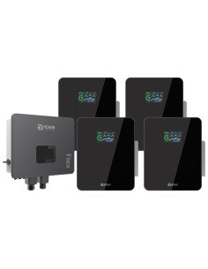 Renon Power: vendita all'ingrosso Sistema di accumulo monofase inverter 6kW IFL06 Renon Power batteria al litio Xcellent 20.4...