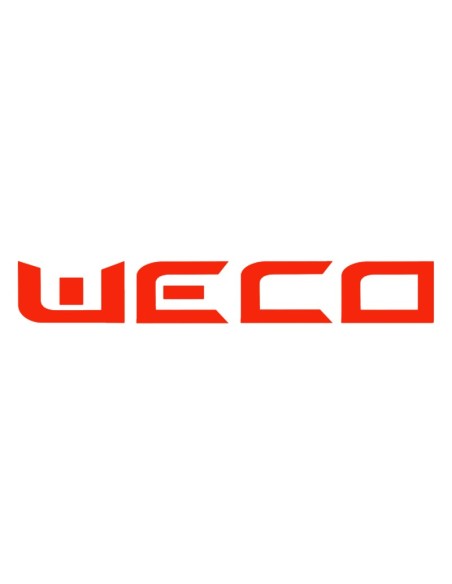 Weco: vendita all'ingrosso Smart meter WiFi per inverter di stringa 3CT 200A Weco