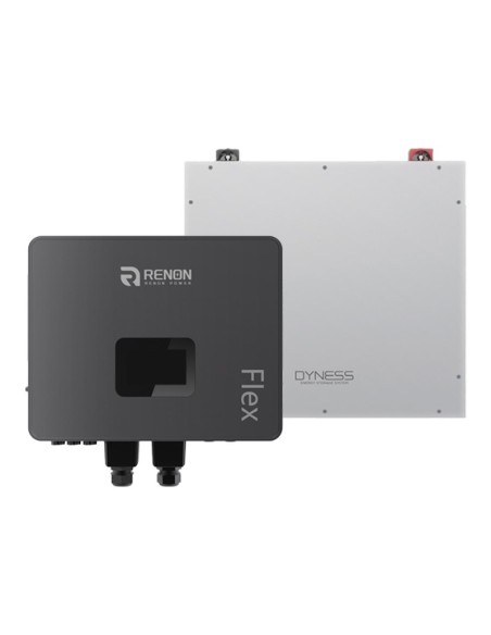 Single-phase off-grid storage system Renon Power 6kW inverter lithium 5.12kWh Dyness DL5.0C
