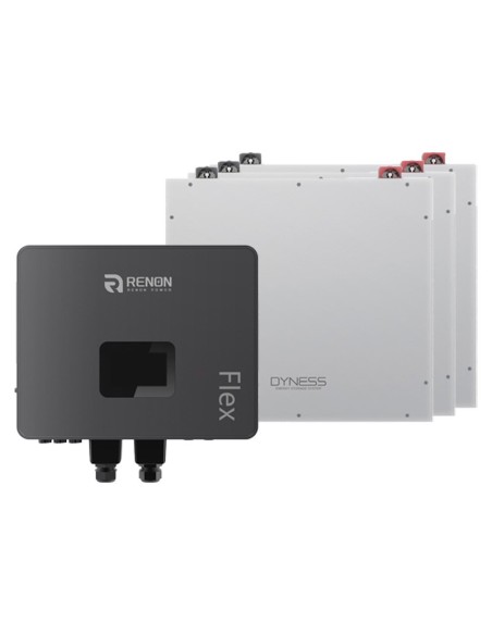 Single-phase off-grid storage system Renon Power 6kW inverter lithium 15.36kWh Dyness DL5.0C