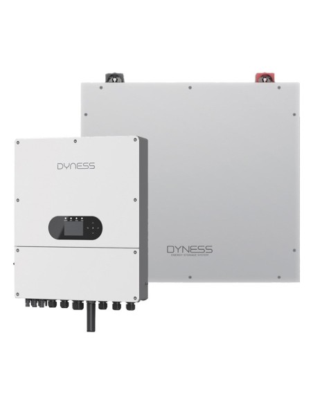 Dyness: vendita all'ingrosso Sistema di accumulo monofase inverter 6kW Dyness batteria al litio 5.12kWh DL5.0C