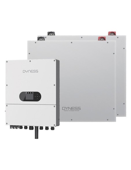 Dyness: vendita all'ingrosso Sistema di accumulo monofase inverter 6kW Dyness batteria al litio 10.24kWh DL5.0C