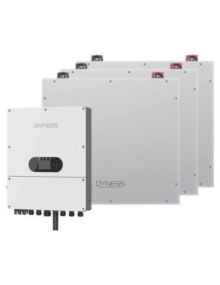Dyness: vendita all'ingrosso Sistema di accumulo monofase inverter 6kW Dyness batteria al litio 15.36kWh DL5.0C