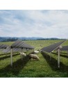 Agrifarm Conterra sistema tracker agrivoltaico monoassiale Contact