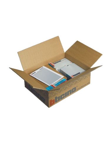 Basic system kit with Sfera audio-video module and power supply Bticino